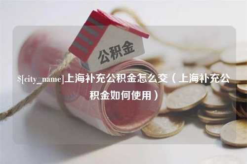 湘西上海补充公积金怎么交（上海补充公积金如何使用）